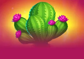 Cactus Riches Cash Pool