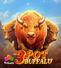 3 Pot Bison